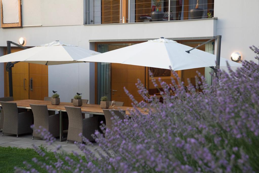 Scheiber Wein & Gaestehaus Weiden am See Exterior photo